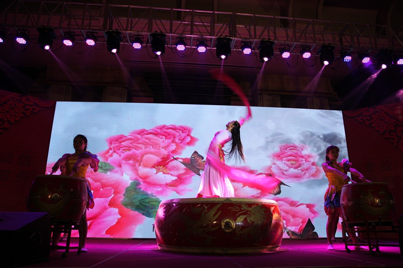 乐玩(中国)集团2016年会 